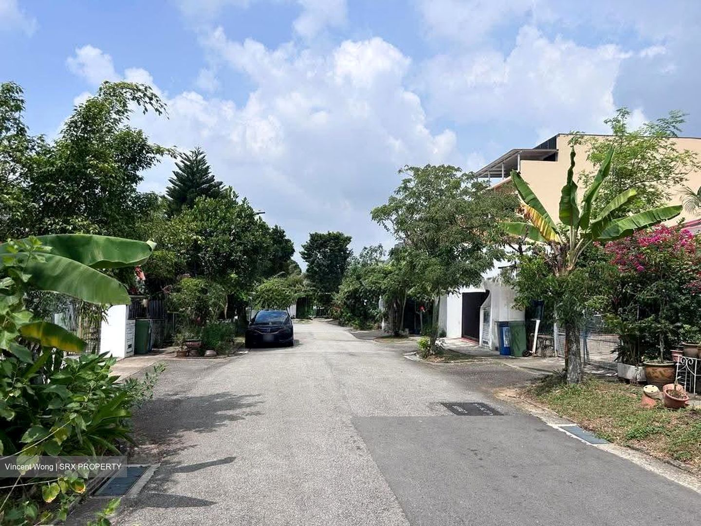 Serangoon Garden Estate (D19), Semi-Detached #618915731